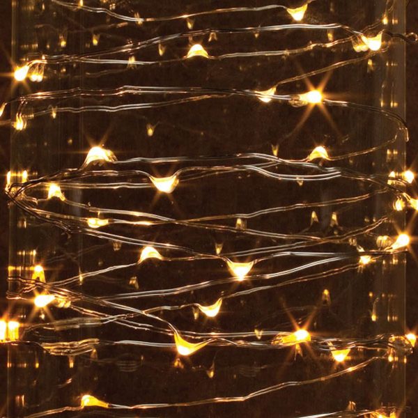 Everlasting Glow 38655 Warm White Micro 120-LED String Light, Silver Wire, 20  Online Hot Sale